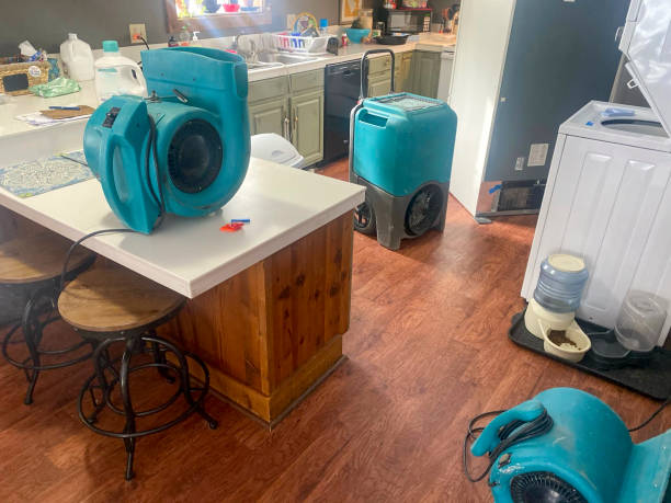 Trusted CA Water damage restoration Experts