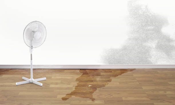 Best Flood restoration services  in Arden Arde, CA